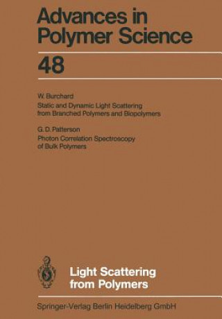 Light Scattering from Polymers