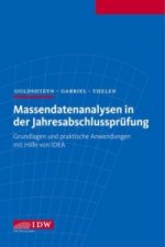 Massendatenanalysen in der Jahresabschlussprüfung