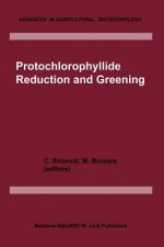 Protochlorophyllide Reduction and Greening