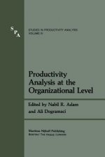 Productivity Analysis at the Organizational Level