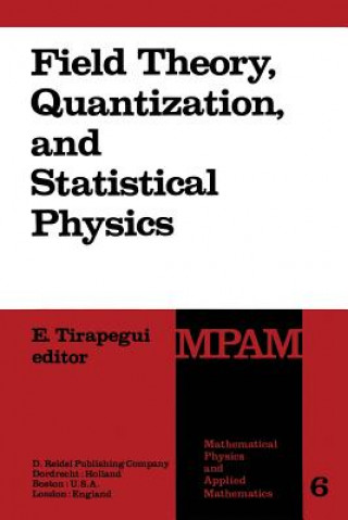 Field Theory, Quantization and Statistical Physics