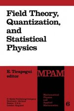 Field Theory, Quantization and Statistical Physics