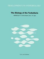 Biology of the Turbellaria