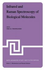 Infrared and Raman Spectroscopy of Biological Molecules
