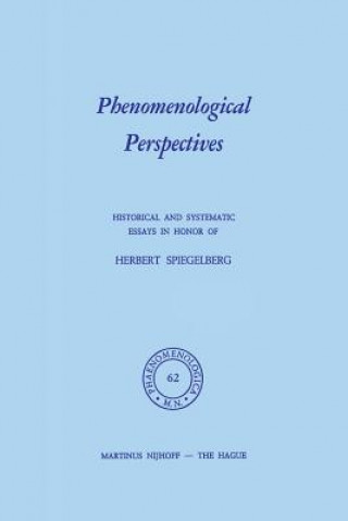 Phenomenological Perspectives
