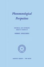 Phenomenological Perspectives