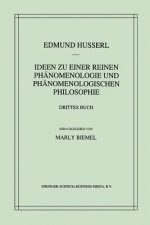 Ideen Zu Einer Reinen Phanomenologie Und Phanomenologischen Philosophie