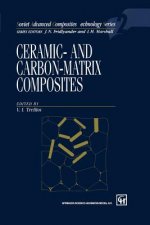 Ceramic-and Carbon-matrix Composites
