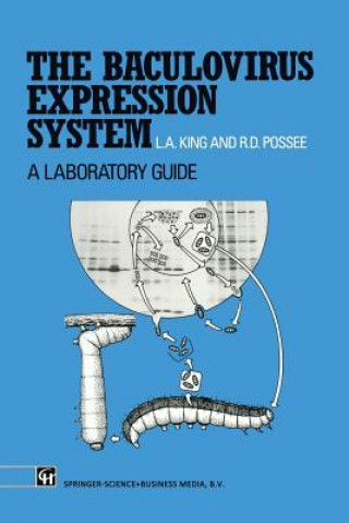 Baculovirus Expression System