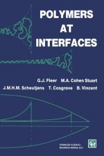 Polymers at Interfaces