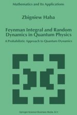 Feynman Integral and Random Dynamics in Quantum Physics