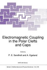 Electromagnetic Coupling in the Polar Clefts and Caps