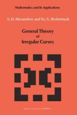 General Theory of Irregular Curves