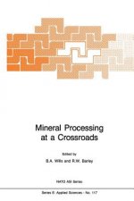 Mineral Processing at a Crossroads