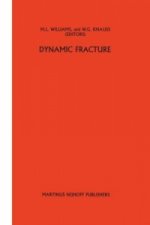 Dynamic fracture