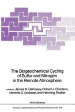Biogeochemical Cycling of Sulfur and Nitrogen in the Remote Atmosphere