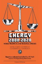 Energy 2000-2020: World Prospects and Regional Stresses