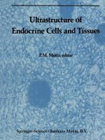 Ultrastructure of Endocrine Cells and Tissues
