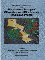 Molecular Biology of Chloroplasts and Mitochondria in Chlamydomonas