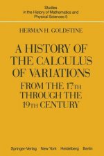History of the Calculus of Variations from the 17th through the 19th Century