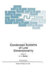 Condensed Systems of Low Dimensionality