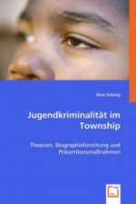Jugendkriminalität im Township