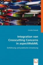 Integration von Crosscutting Concerns in aspectWebML