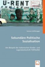 Sekundäre Politische Sozialisation
