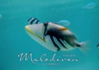 Unterwasserwelt der Malediven I (Posterbuch DIN A2 quer)