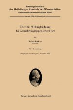 UEber die Wellengleichung bei Grenzkreisgruppen erster Art