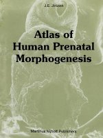 Atlas of Human Prenatal Morphogenesis