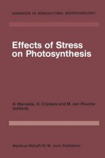 Effects of Stress on Photosynthesis