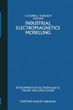 Industrial Electromagnetics Modelling