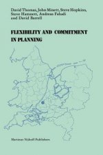 Flexibility and Commitment in Planning