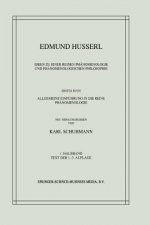 Ideen zu einer Reinen Phanomenologie und Phanomenologischen Philosophie