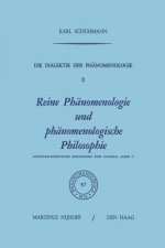 Die Dialektik Der Phanomenologie II