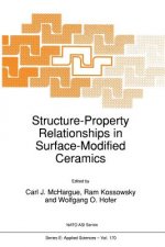 Structure-Property Relationships in Surface-Modified Ceramics