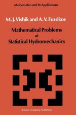 Mathematical Problems of Statistical Hydromechanics