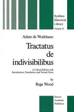 Adam de Wodeham: Tractatus de Indivisibilibus