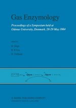 Gas Enzymology