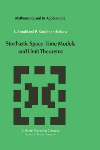 Stochastic Space-Time Models and Limit Theorems