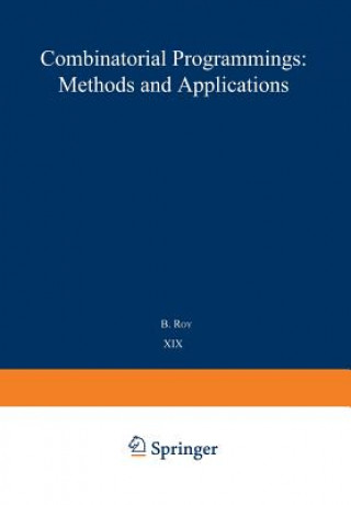 Combinatorial Programming: Methods and Applications