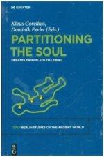 Partitioning the Soul