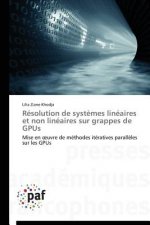 Resolution de Systemes Lineaires Et Non Lineaires Sur Grappes de Gpus