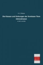 Die Klassen und Ordnungen der formlosen Tiere (Amorphozoa)