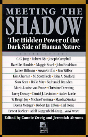 Meeting the Shadow