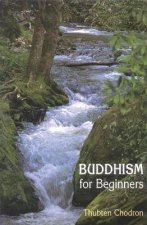 Buddhism for Beginners