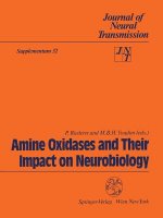 Amine Oxidases and Their Impact on Neurobiology