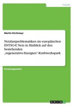 Netzlastproblematiken im europäischen ENTSO-E Netz in Hinblick auf den bestehenden 