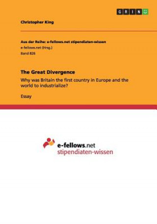The Great Divergence